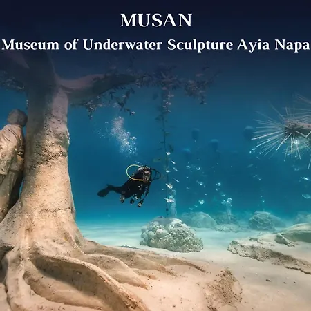 Vivo Mare 3 Bedroom Villa Ayia Napa